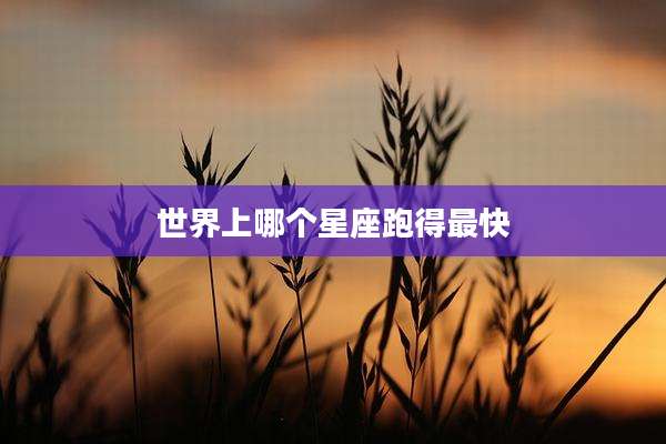 世界上哪个星座跑得最快