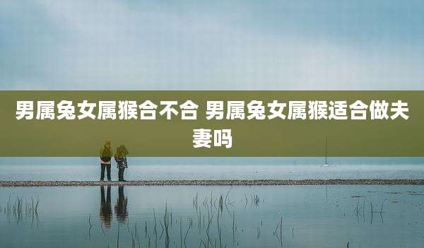男属兔女属猴合不合 男属兔女属猴适合做夫妻吗