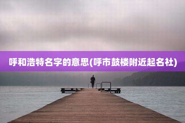 呼和浩特名字的意思(呼市鼓楼附近起名社)