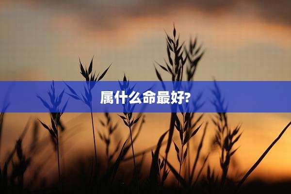 属什么命最好?