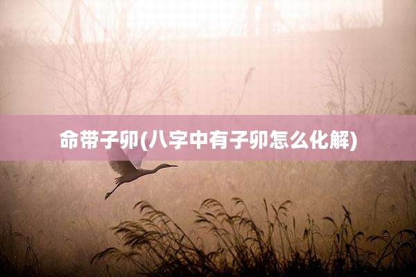 命带子卯(八字中有子卯怎么化解)