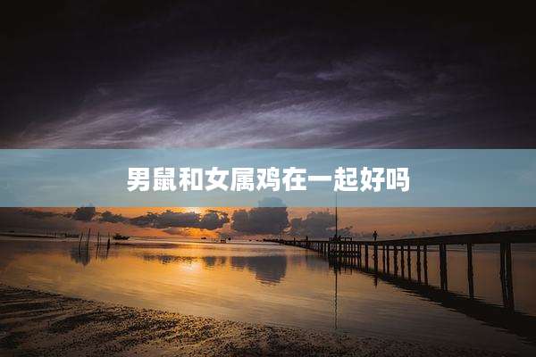 男鼠和女属鸡在一起好吗