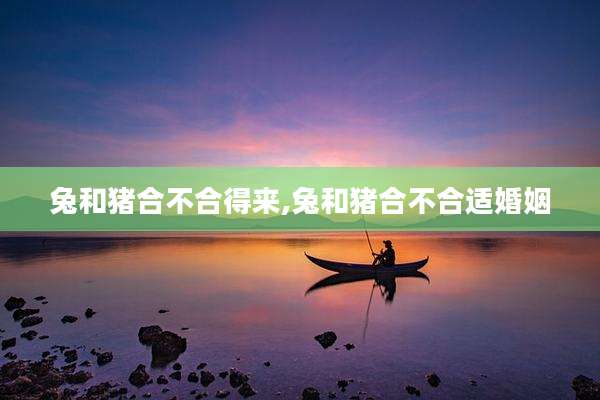 兔和猪合不合得来,兔和猪合不合适婚姻