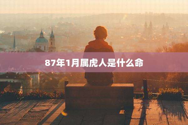 87年1月属虎人是什么命