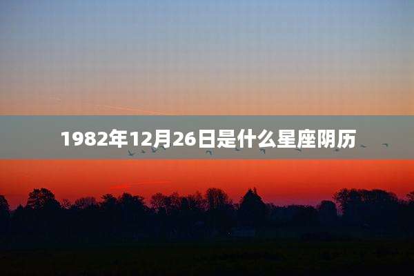 1982年12月26日是什么星座阴历