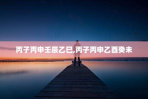 丙子丙申壬辰乙巳,丙子丙申乙酉癸未