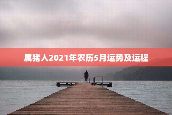 属猪人2021年农历5月运势及运程