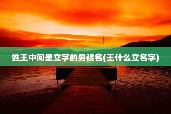 姓王中间是立字的男孩名(王什么立名字)
