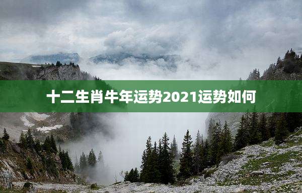 十二生肖牛年运势2021运势如何
