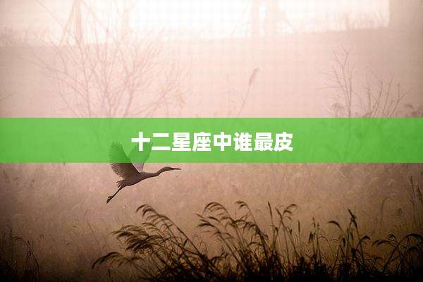 十二星座中谁最皮