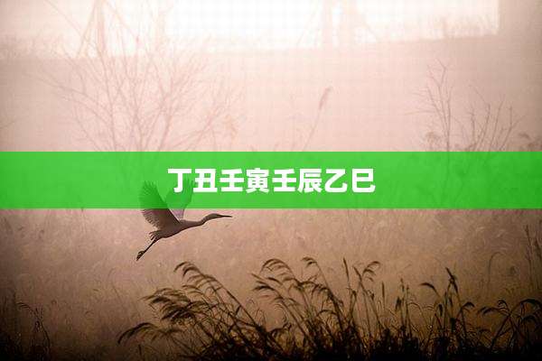 丁丑壬寅壬辰乙巳