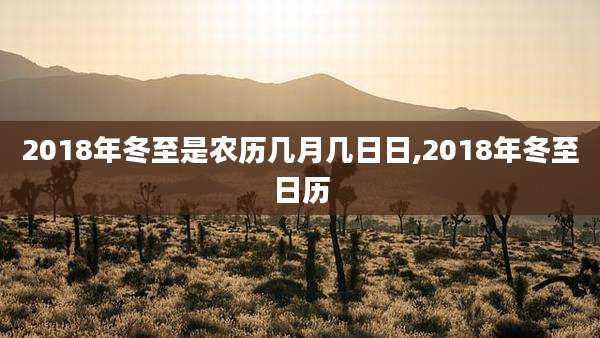 2018年冬至是农历几月几日日,2018年冬至日历