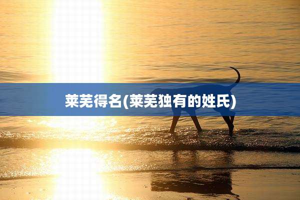 莱芜得名(莱芜独有的姓氏)