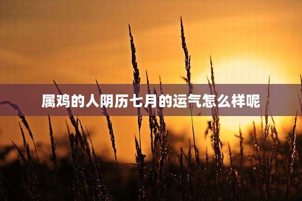属鸡的人阴历七月的运气怎么样呢