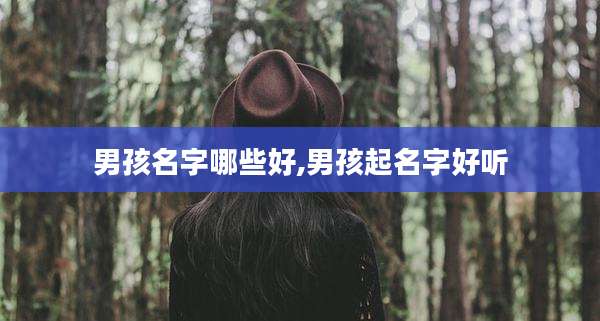 男孩名字哪些好,男孩起名字好听