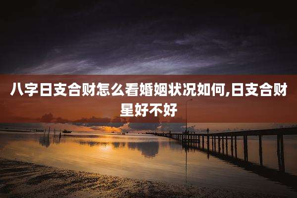 八字日支合财怎么看婚姻状况如何,日支合财星好不好