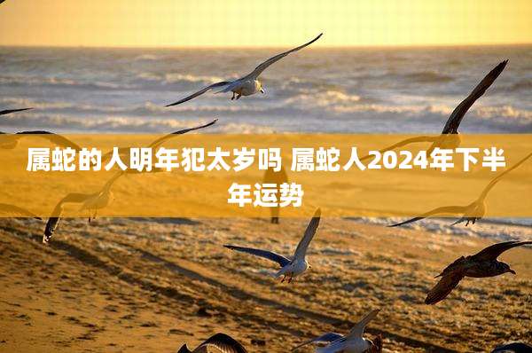 属蛇的人明年犯太岁吗 属蛇人2024年下半年运势