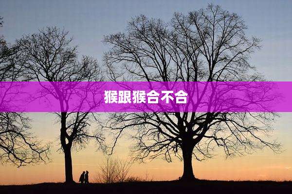 猴跟猴合不合