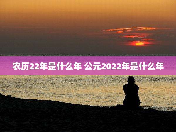 农历22年是什么年 公元2022年是什么年