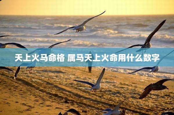 天上火马命格 属马天上火命用什么数字