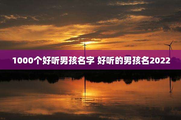 1000个好听男孩名字 好听的男孩名2022