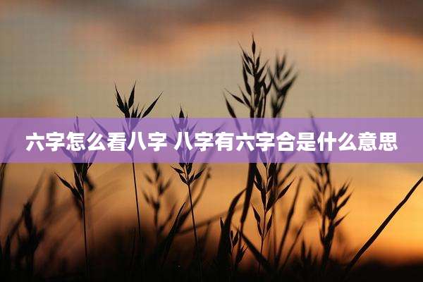 六字怎么看八字 八字有六字合是什么意思