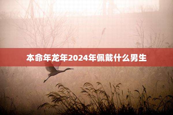 本命年龙年2024年佩戴什么男生