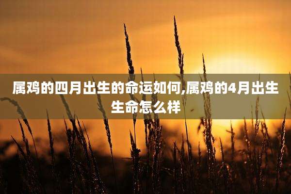 属鸡的四月出生的命运如何,属鸡的4月出生生命怎么样