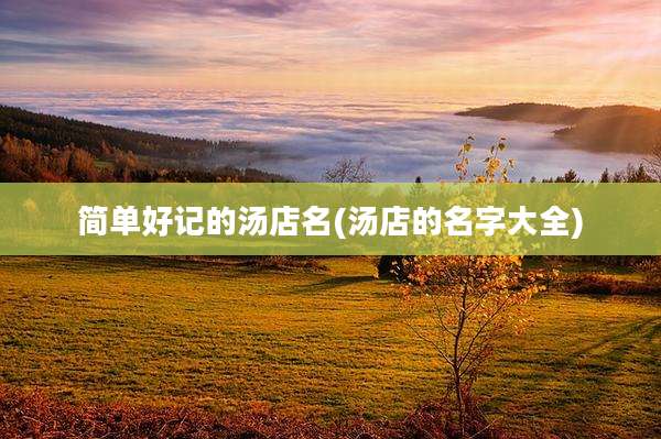 简单好记的汤店名(汤店的名字大全)