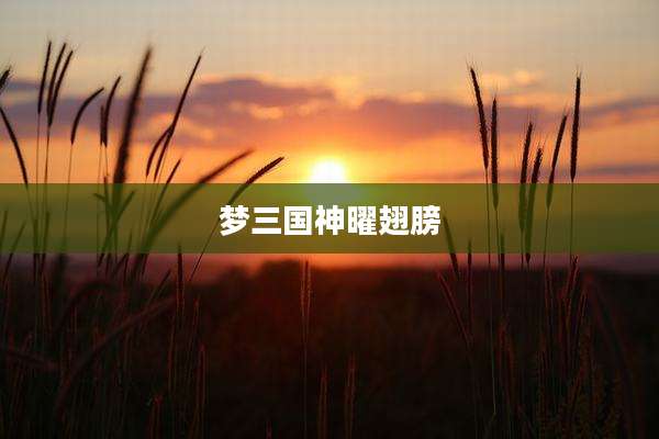 梦三国神曜翅膀