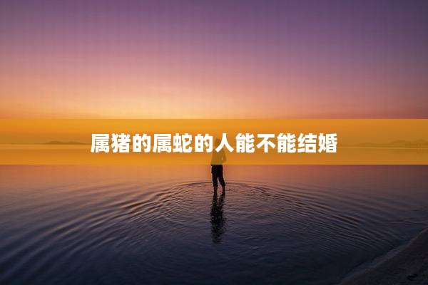 属猪的属蛇的人能不能结婚