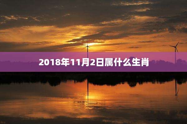2018年11月2日属什么生肖