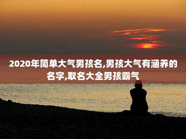2020年简单大气男孩名,男孩大气有涵养的名字,取名大全男孩霸气
