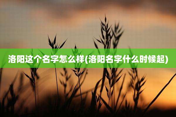洛阳这个名字怎么样(洛阳名字什么时候起)