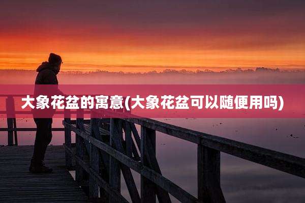 大象花盆的寓意(大象花盆可以随便用吗)