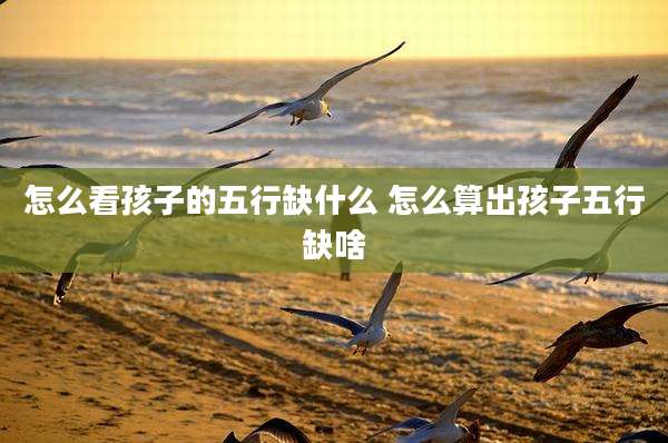怎么看孩子的五行缺什么 怎么算出孩子五行缺啥