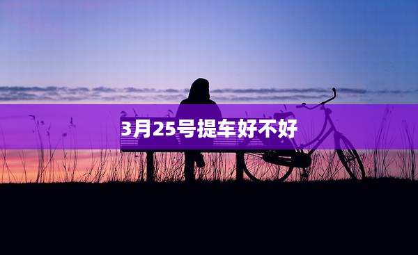 3月25号提车好不好
