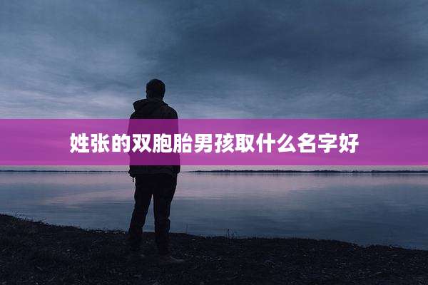 姓张的双胞胎男孩取什么名字好
