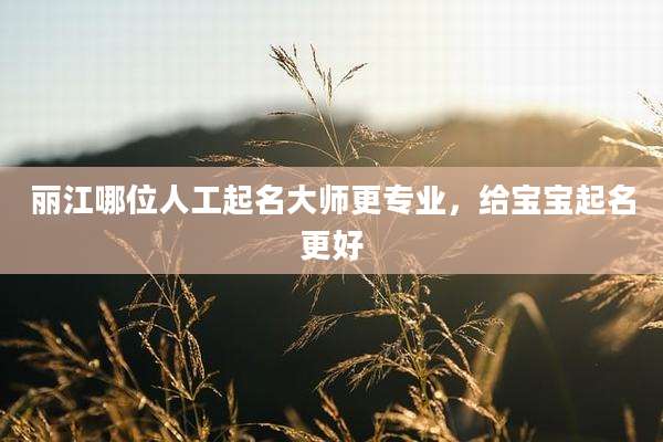 丽江哪位人工起名大师更专业,给宝宝起名更好