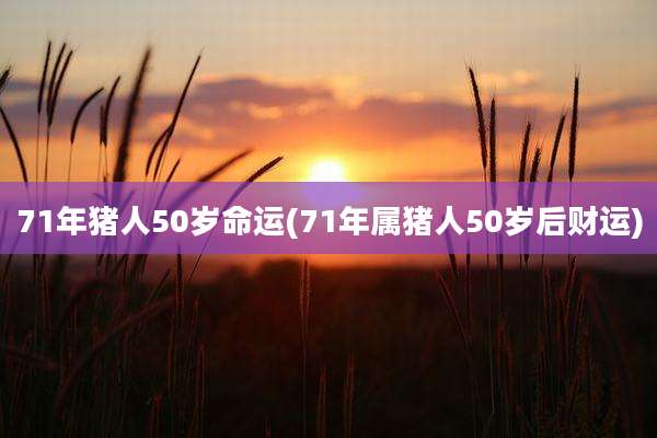 71年猪人50岁命运(71年属猪人50岁后财运)