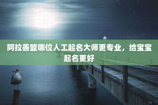 阿拉善盟哪位人工起名大师更专业，给宝宝起名更好