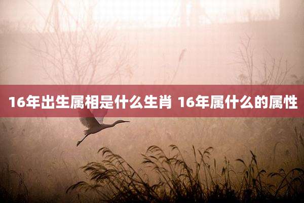 16年出生属相是什么生肖 16年属什么的属性