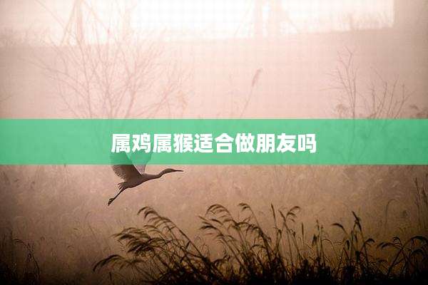 属鸡属猴适合做朋友吗