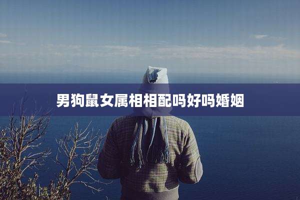 男狗鼠女属相相配吗好吗婚姻