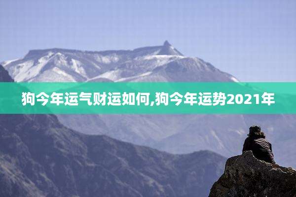 狗今年运气财运如何,狗今年运势2021年