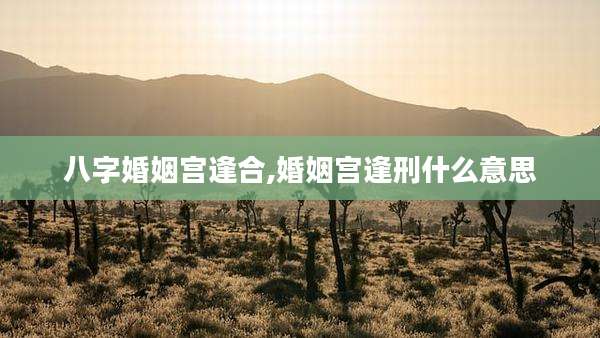 八字婚姻宫逢合,婚姻宫逢刑什么意思
