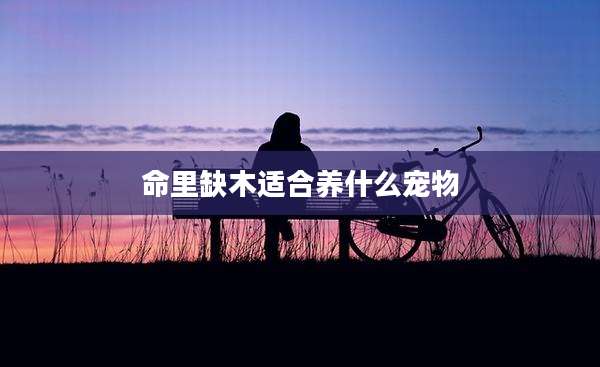 命里缺木适合养什么宠物