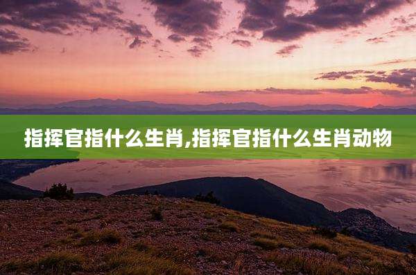 指挥官指什么生肖,指挥官指什么生肖动物