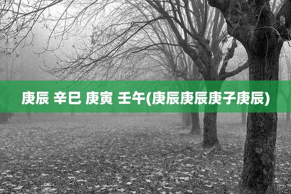 庚辰 辛巳 庚寅 壬午(庚辰庚辰庚子庚辰)