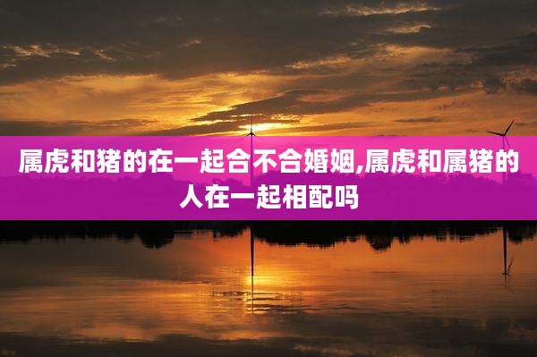 属虎和猪的在一起合不合婚姻,属虎和属猪的人在一起相配吗